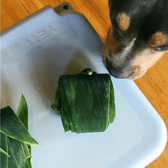 🌞🌺✨……….. - Picture 4 of 16